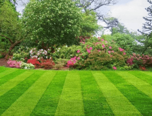 How can lawn treatments help keep grass healthy during hot weather?